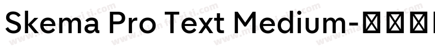 Skema Pro Text Medium字体转换